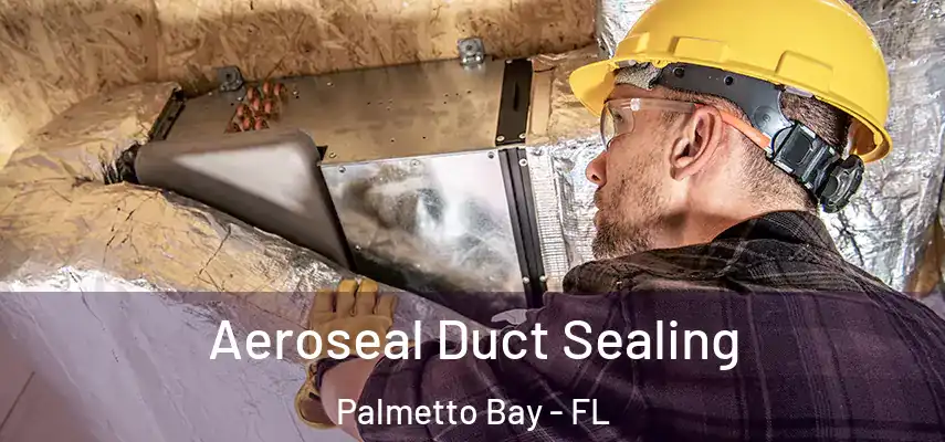  Aeroseal Duct Sealing Palmetto Bay - FL